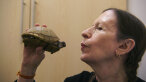 Meredith Monk with her beloved tortoise Neutron at a reptile hospital in New York. 