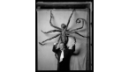 Louise Bourgeois: The Spider, the Mistress and the Tangerine
