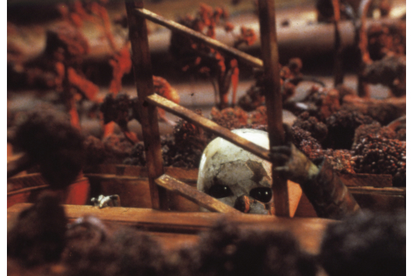 The Comb (1991). A film by the Quay Brothers. A Zeitgeist Films release.