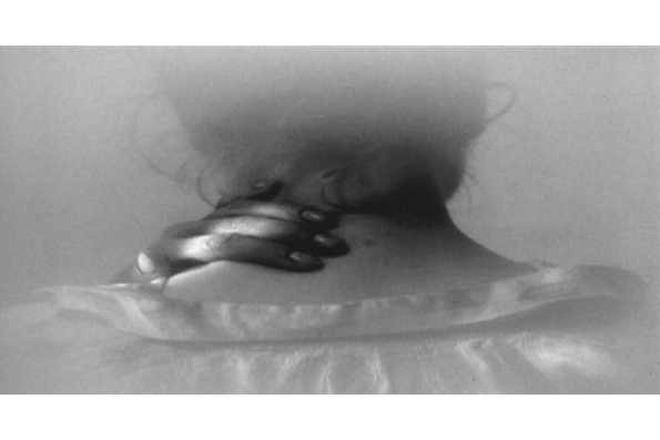 In Absentia (2000). A film by the Quay Brothers. A Zeitgeist Films release.