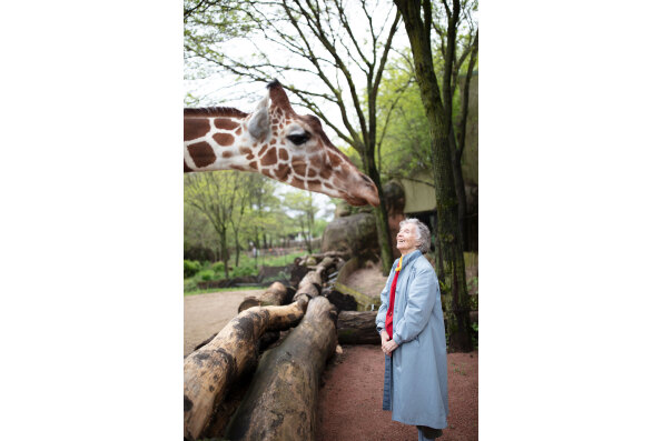 Anne Innis Dagg at the Brookfield Zoo, Chicago. As seen in The Woman Who Loves Giraffes, a film by Alison Reid.