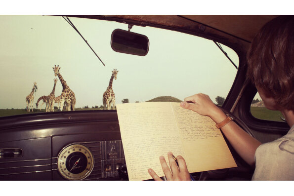 Anne Innis Dagg watching giraffes in South Africa. As seen in The Woman Who Loves Giraffes, a film by Alison Reid.